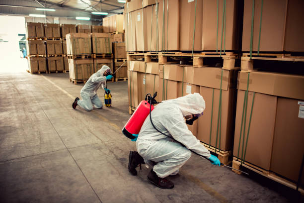 Best Local Pest Control Services  in Clyde, OH