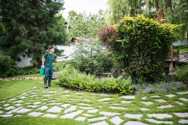 Best Exterminator Services  in Clyde, OH