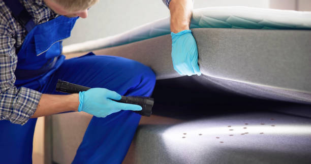 Best Residential Pest Control  in Clyde, OH