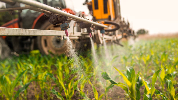 Best Pest Removal Services  in Clyde, OH